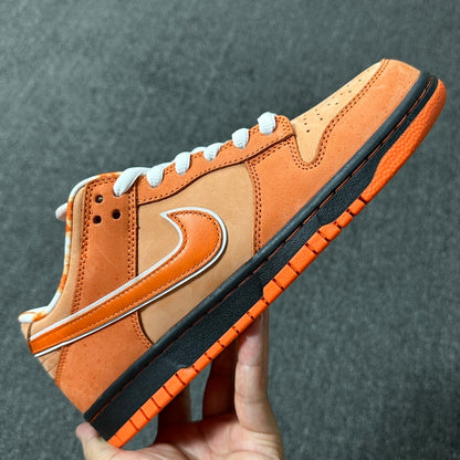 Dunk SB Orange Lobster