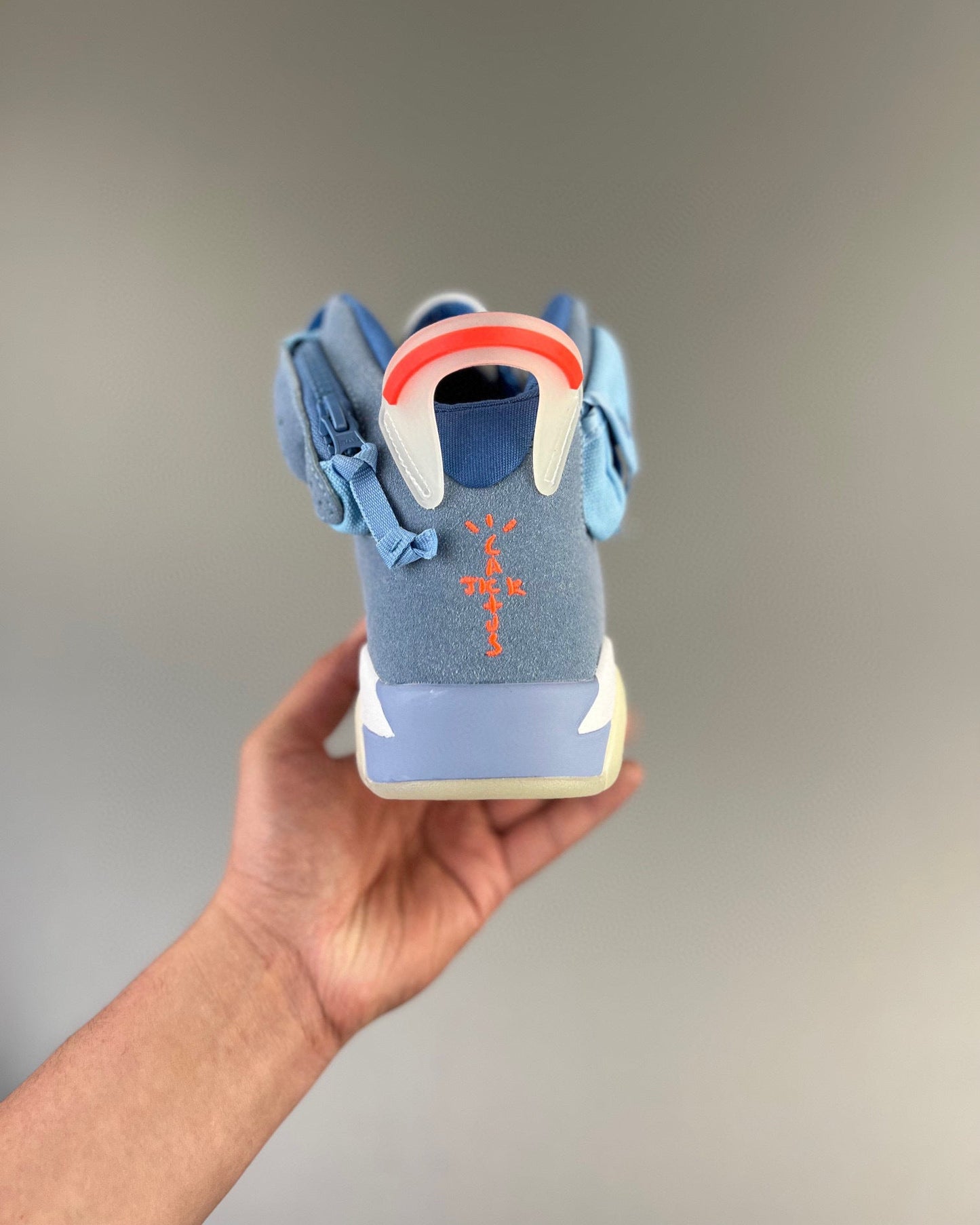 AJ6 Cactus Jack Blue