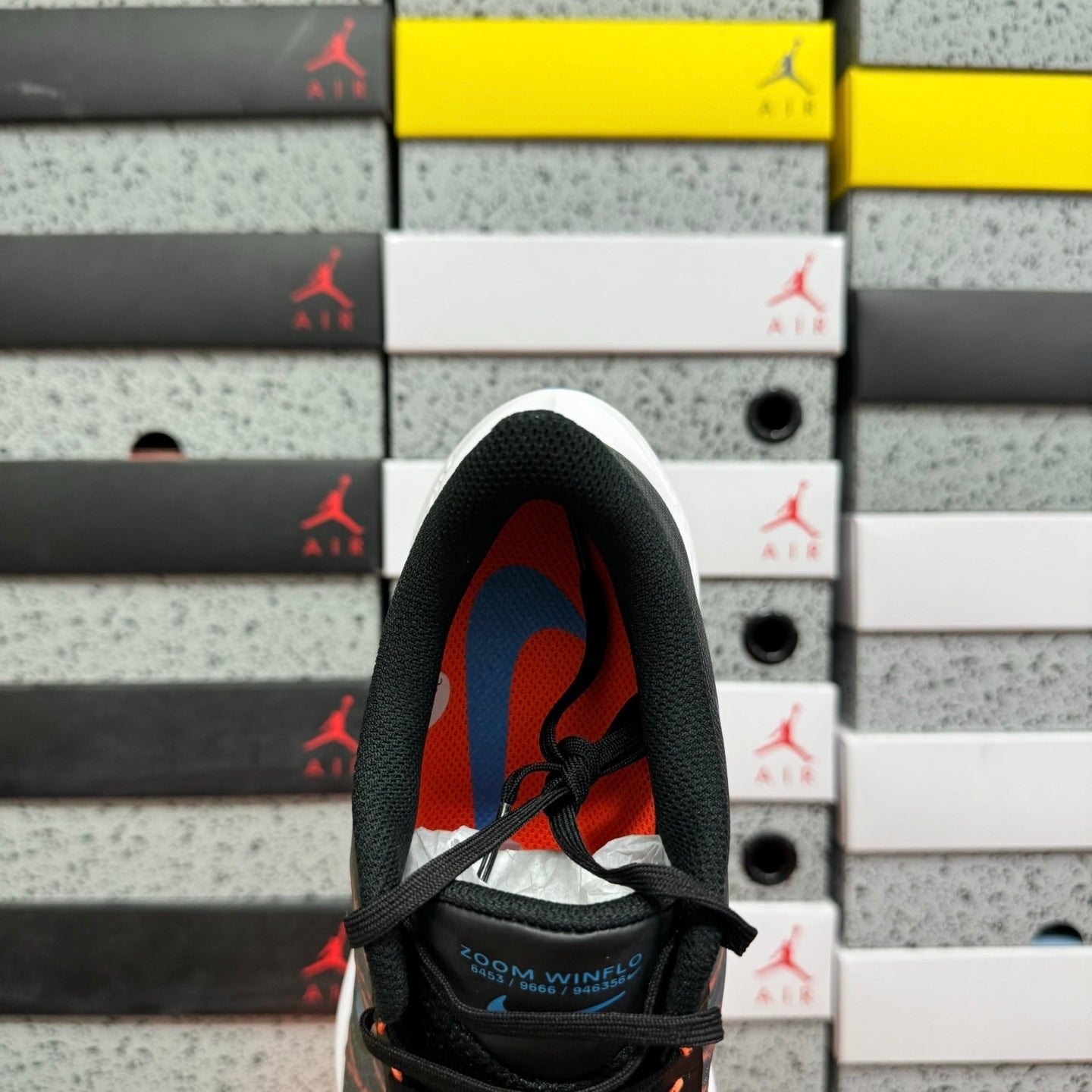 Winflo 8 Dark Smoke Grey/Black/Coast
