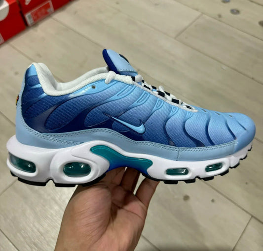 TN Blue