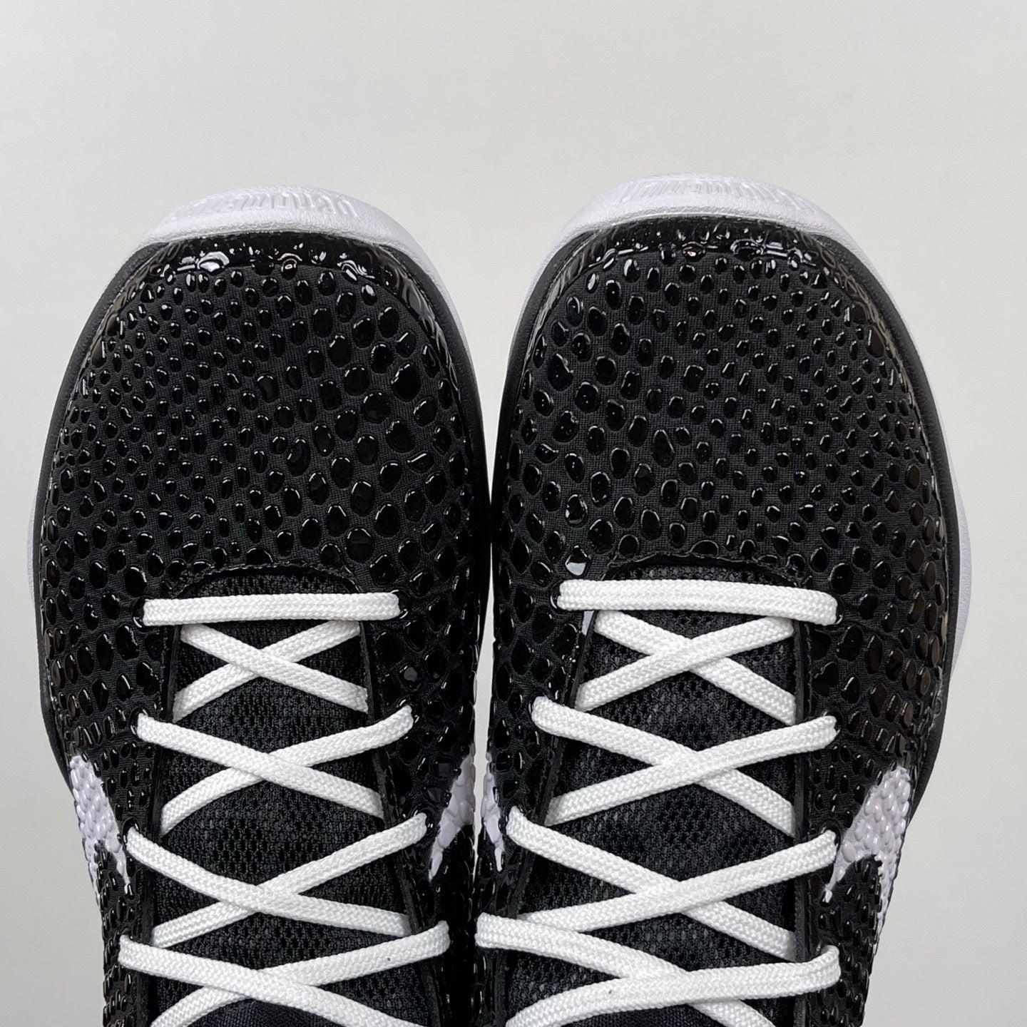 KB6 Proto Mambacita Sweet 16