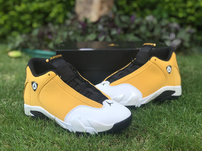 AJ14 Ginger