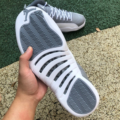 12 Stealth