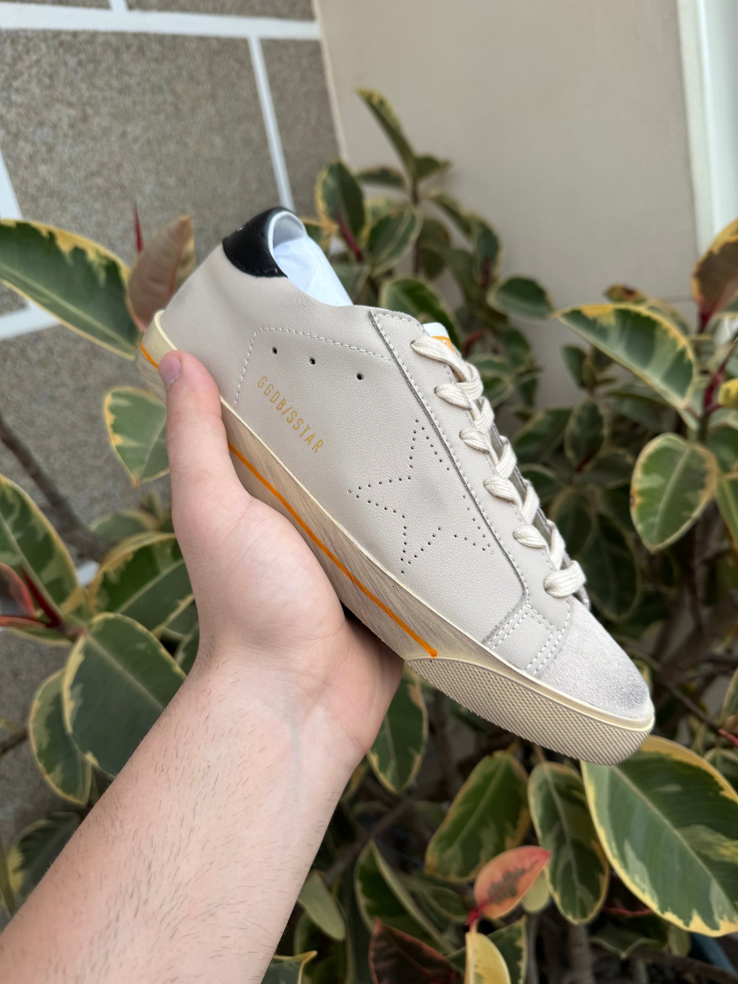 GDGS SSTAR