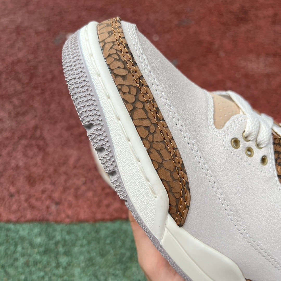 AJ3 Palomino