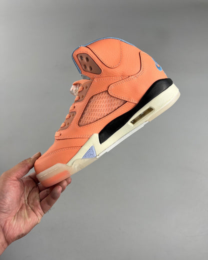 AJ 5 DJ Khaled We The Best