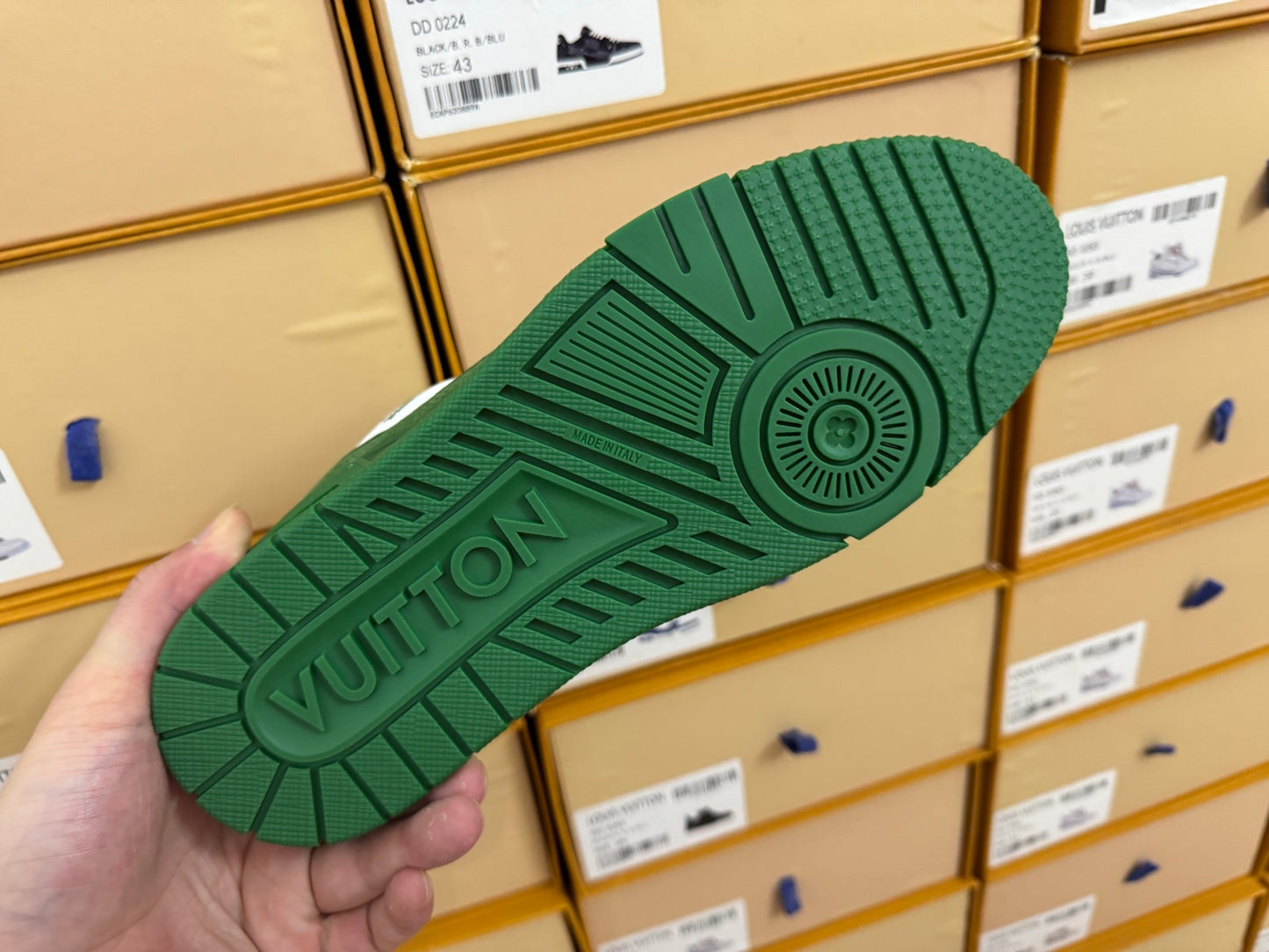 Trainer Green and White