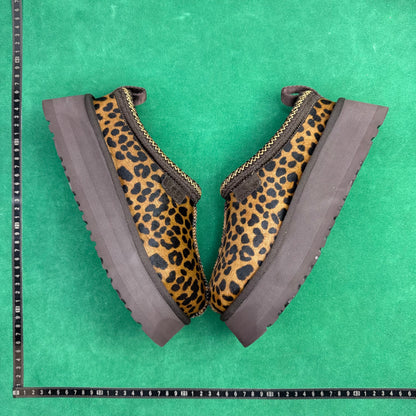 UGG Tazz Caspian