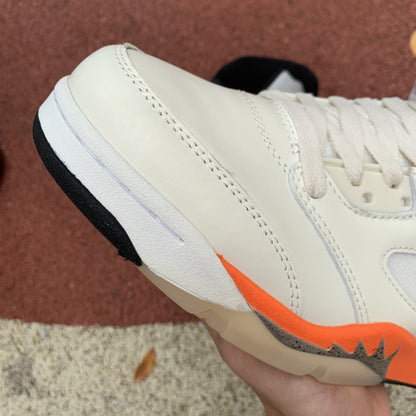 AJ 5 Shattered Backboard