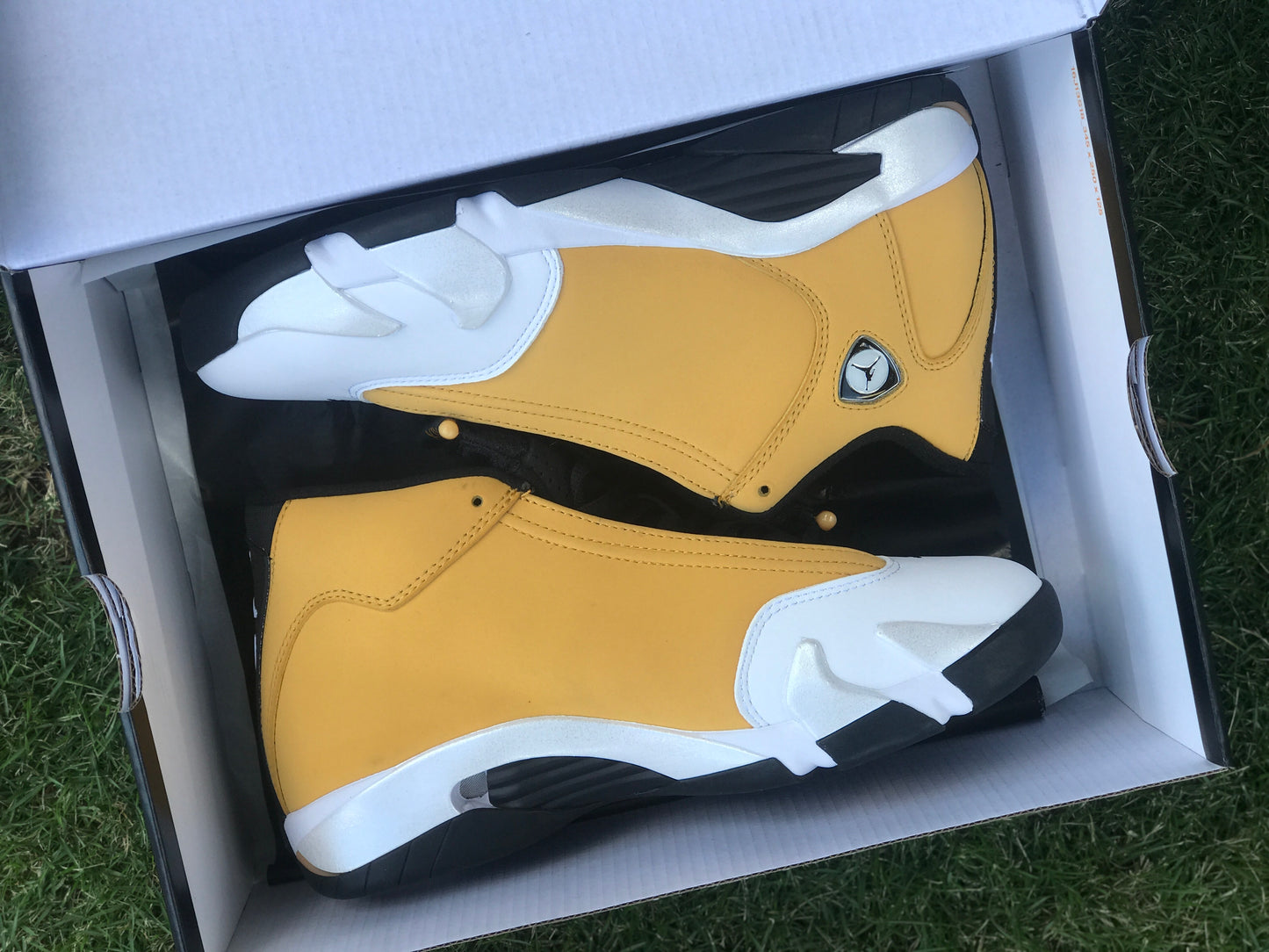 AJ14 Ginger