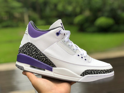 AJ3 Dark Iris
