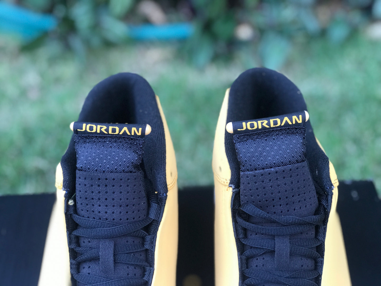 AJ14 Ginger
