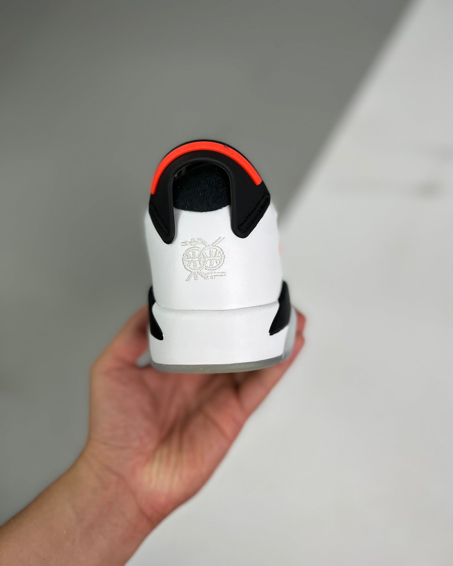 AJ6 Retro Low SE Dongda
