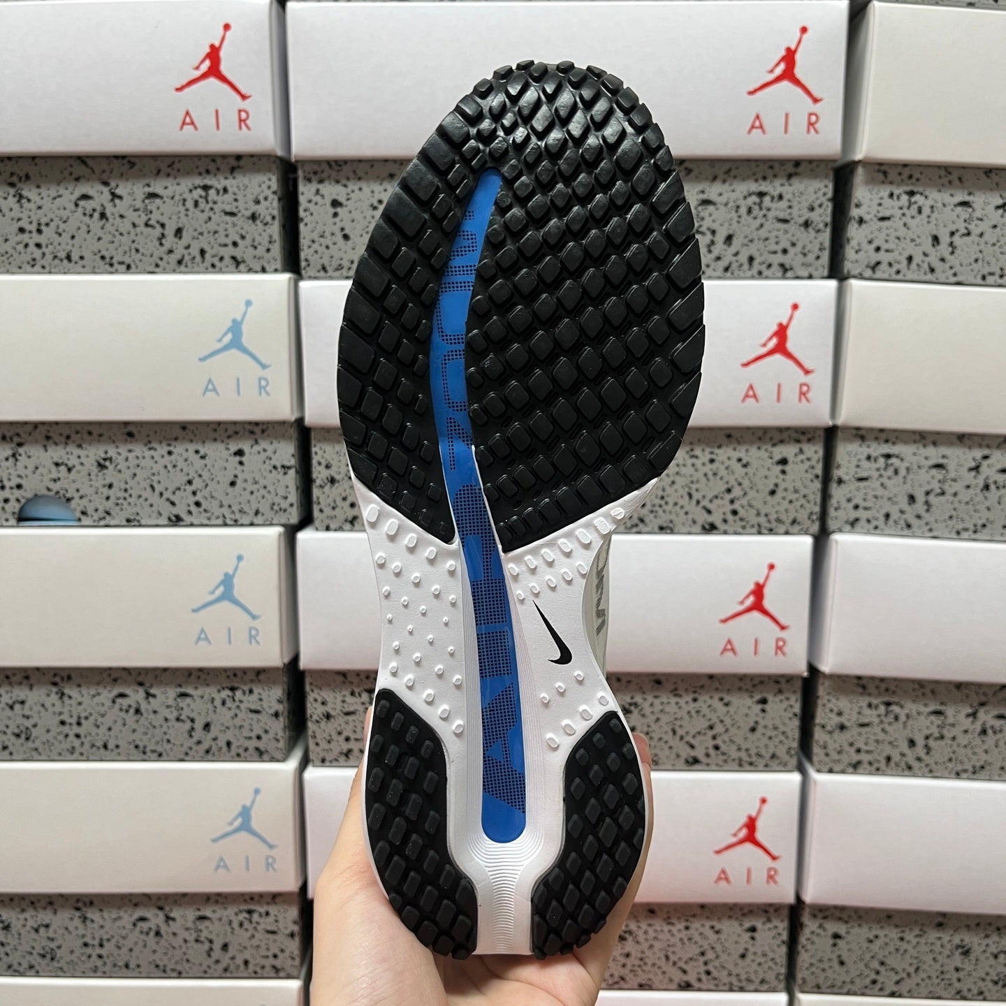 Pegasus Premium White/Blue