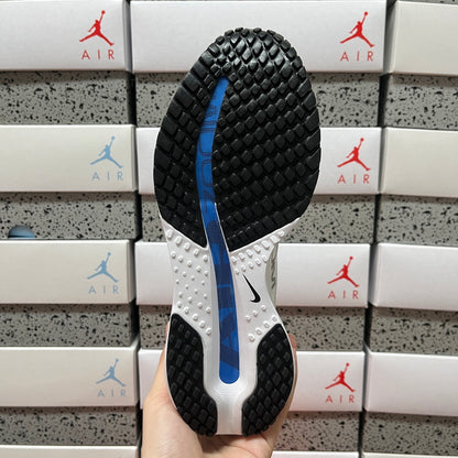Pegasus Premium White/Blue