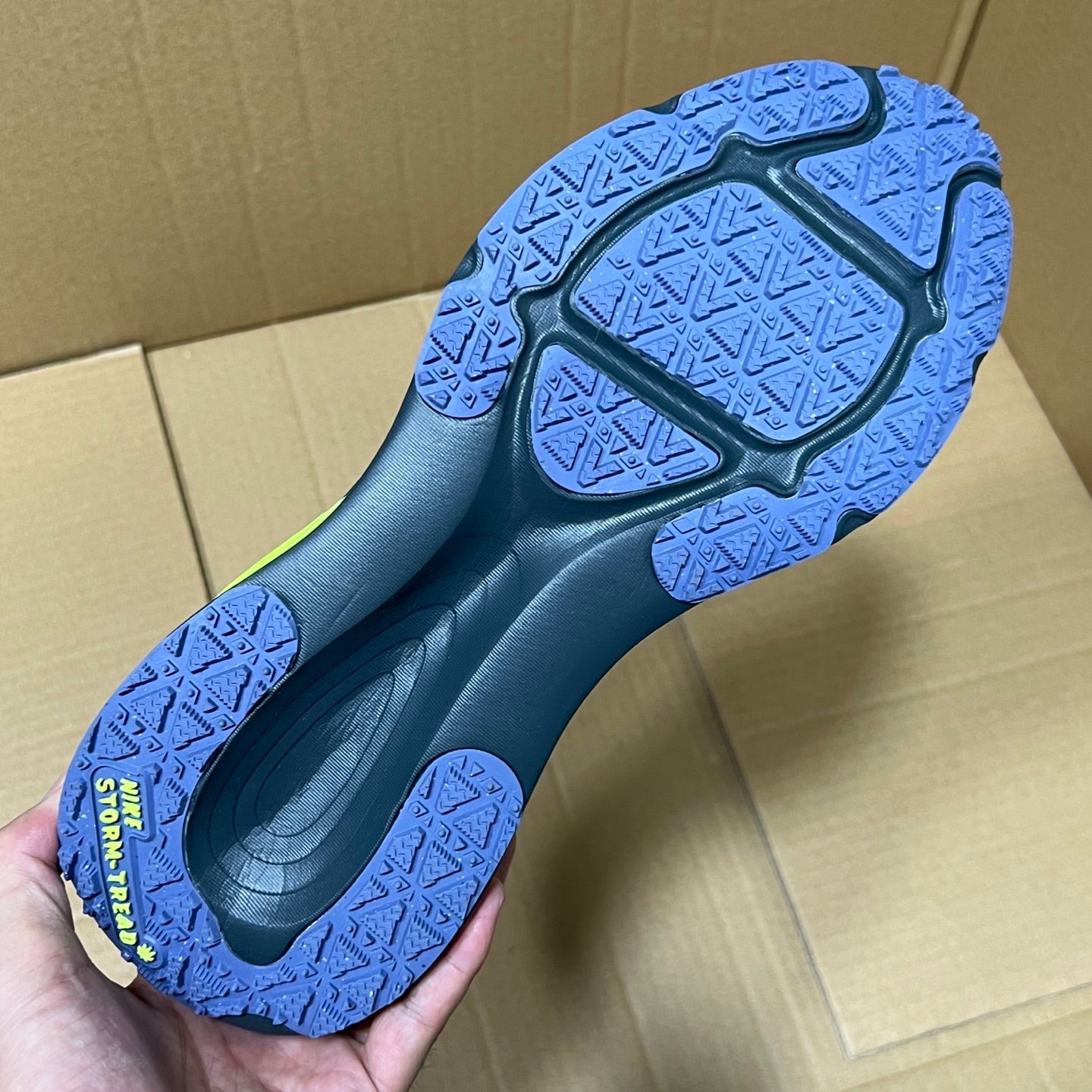 Vomero 18 Gore-Tex Blue