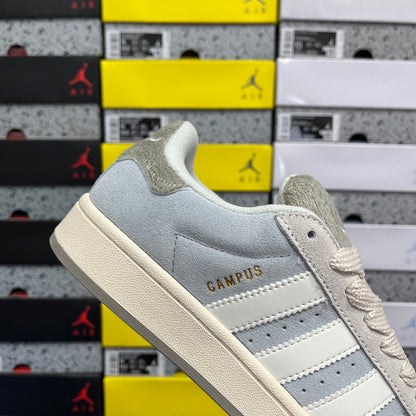 Campus Grey White