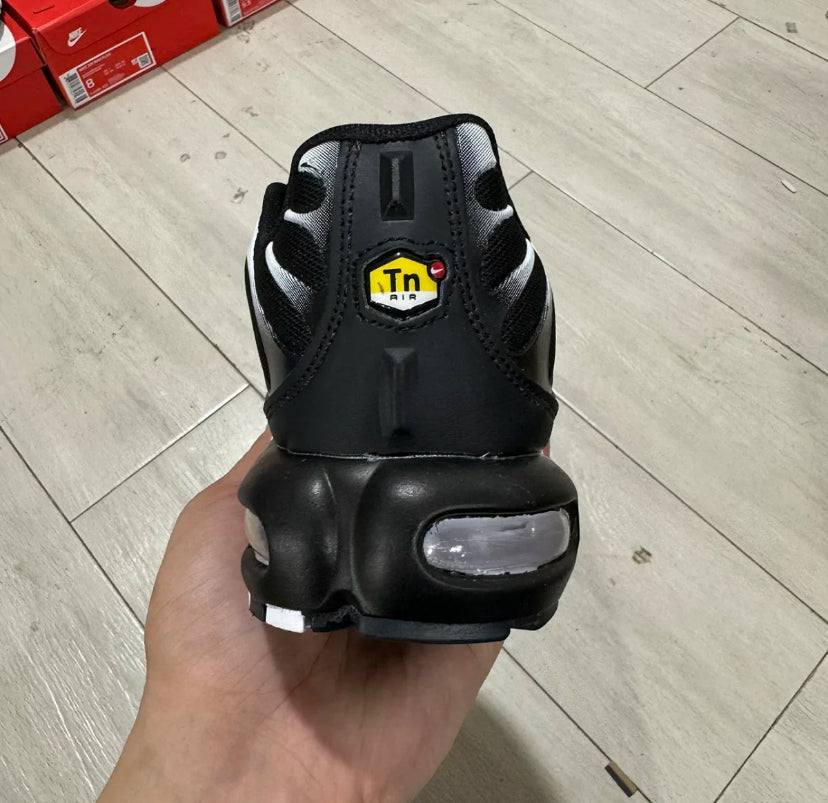 TN Venom