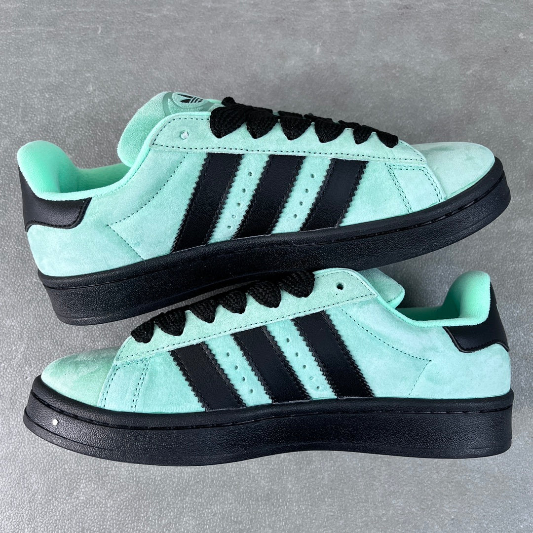 Campus Pulse Mint