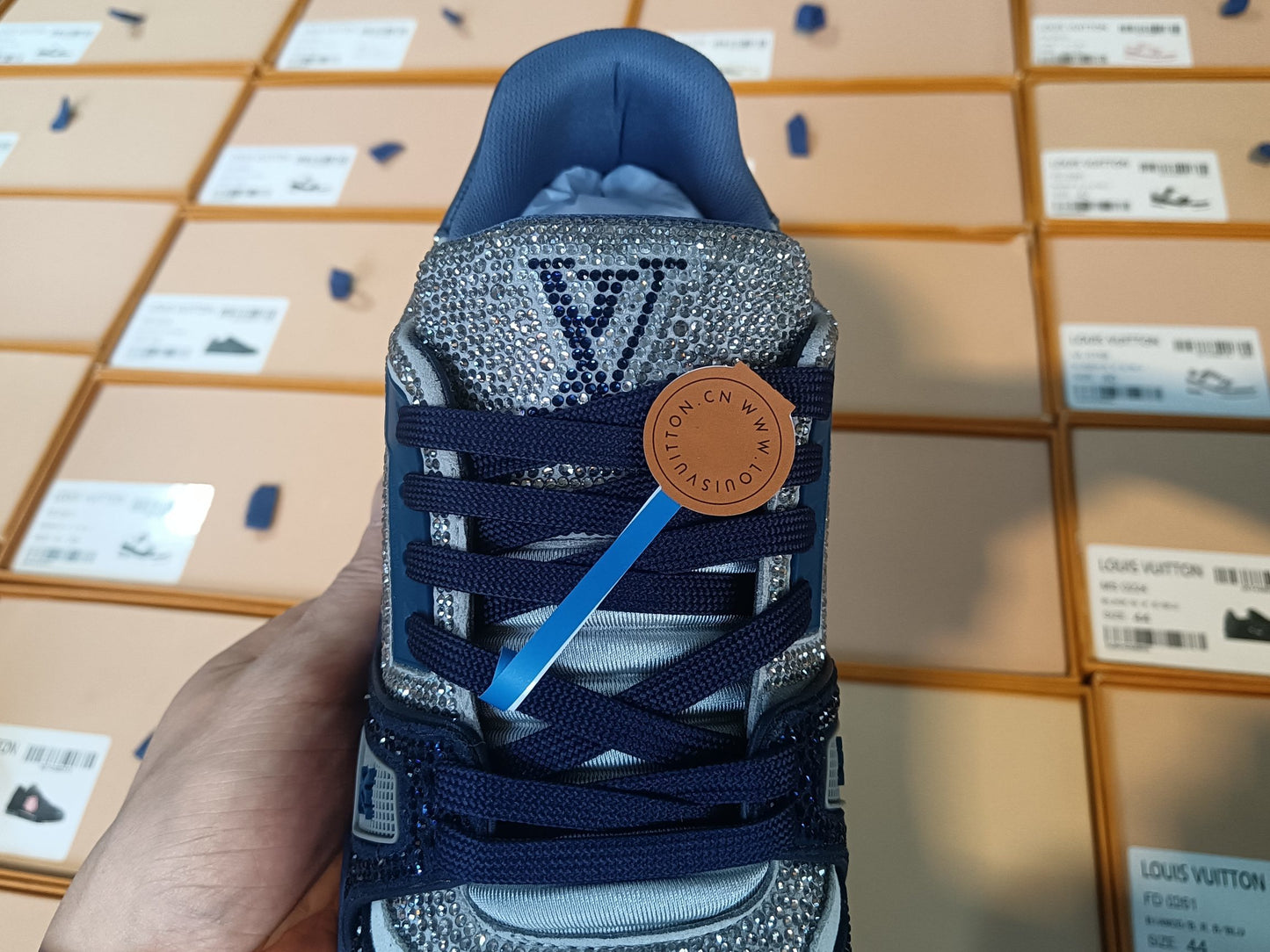 Trainer Blue