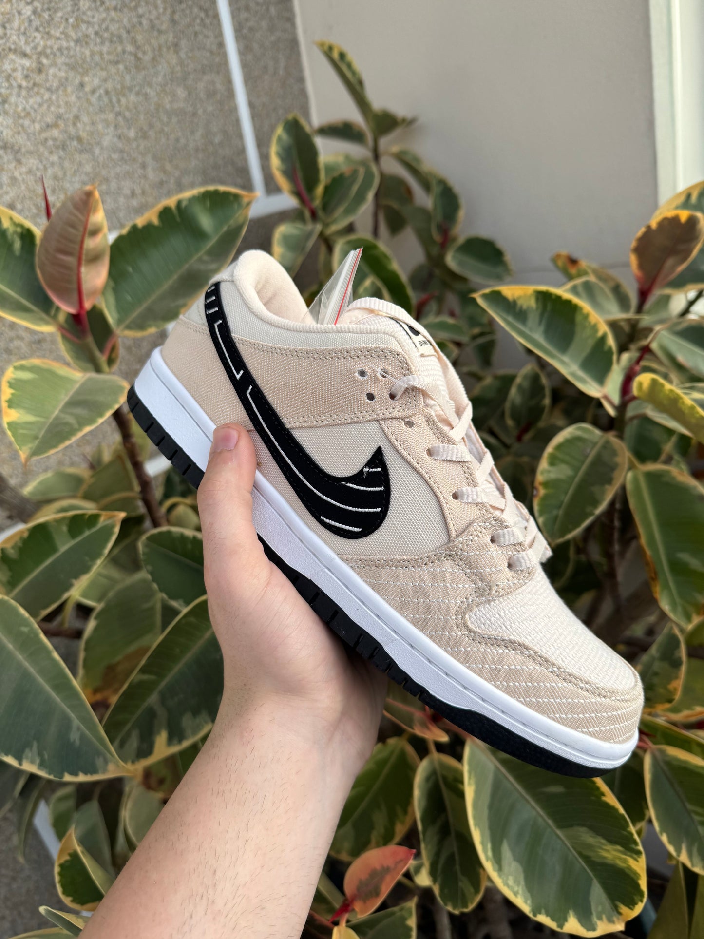Low Albino