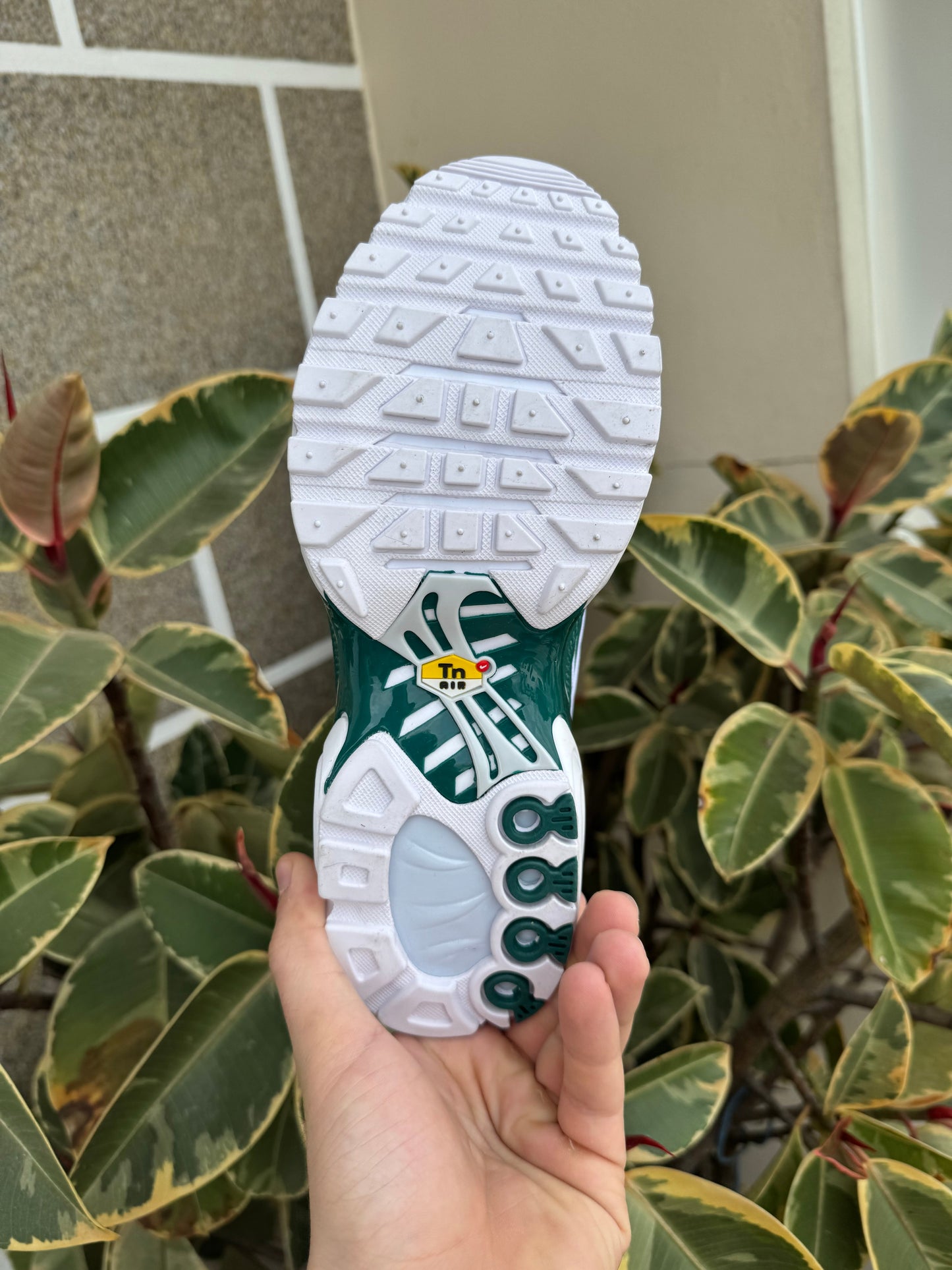 Tn Green and White