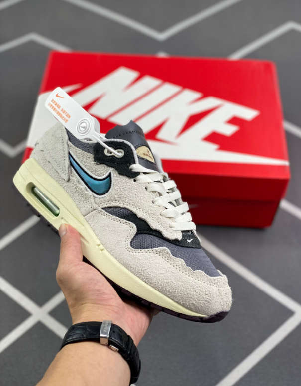 Air Max 1 Protection Pack