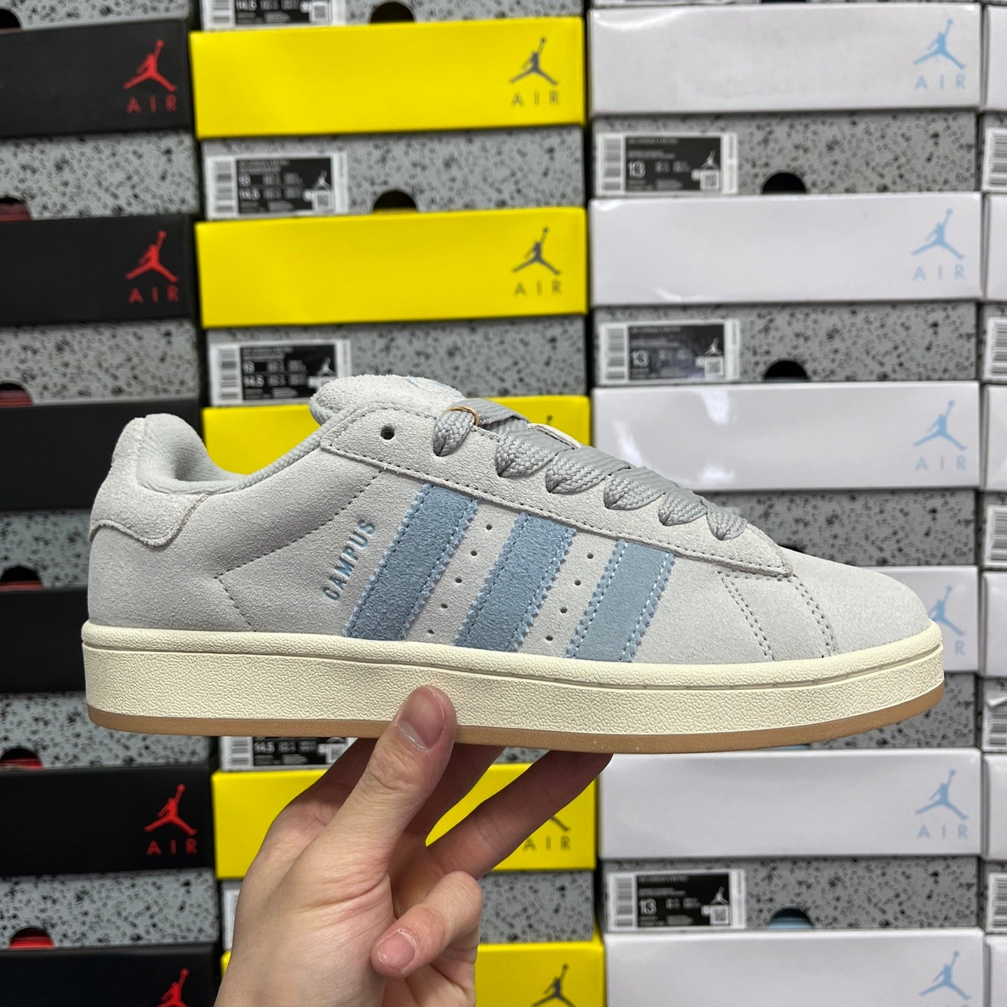 Campus Grey & Blue