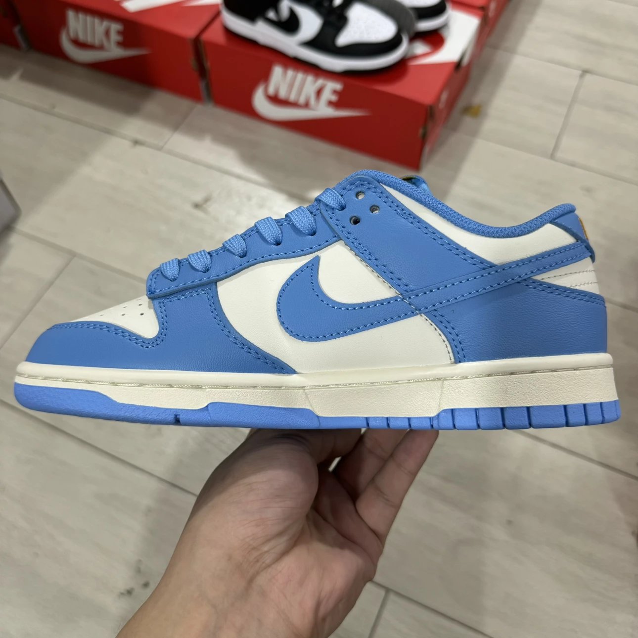 Low Coast Blue