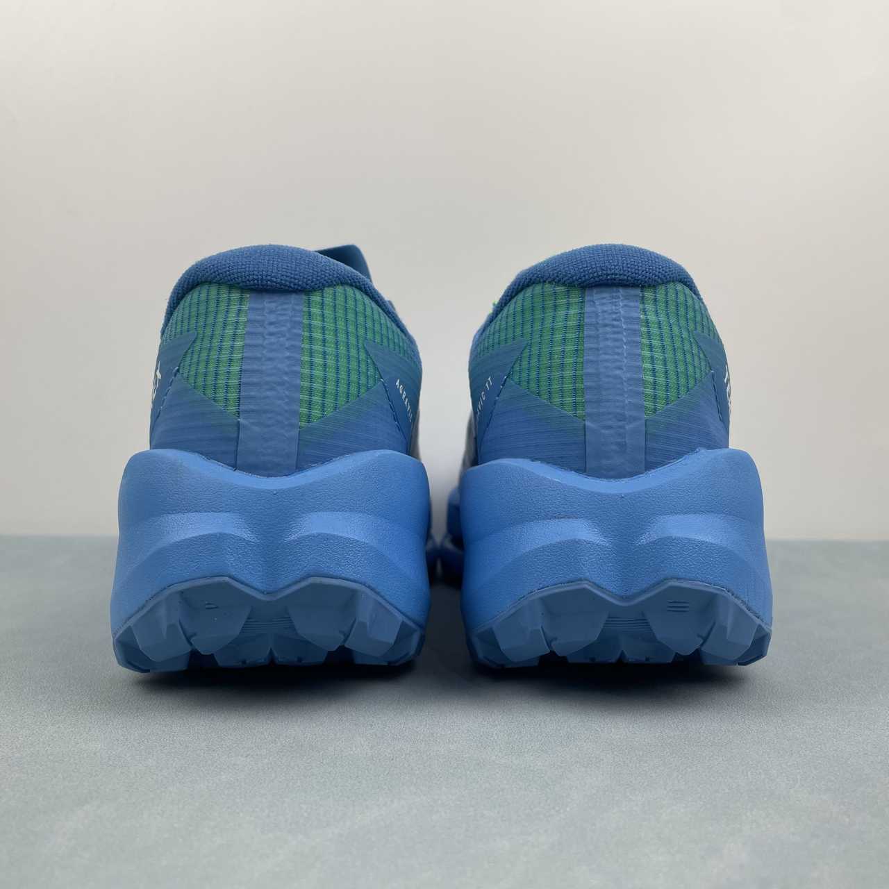 TERREX AGRAVIC TT Lake Blue / White