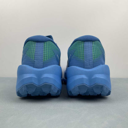 TERREX AGRAVIC TT Lake Blue / White