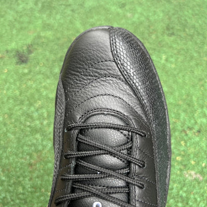 12 Pure Black