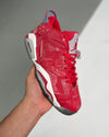 AJ6 Retro "Slam Dunk