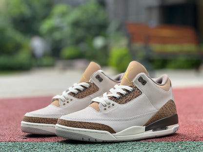 AJ3 Palomino