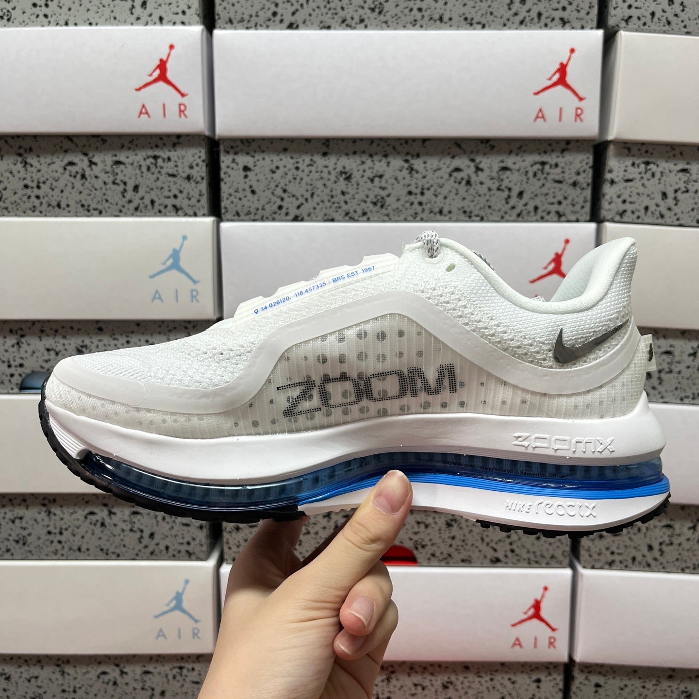 Pegasus Premium White/Blue