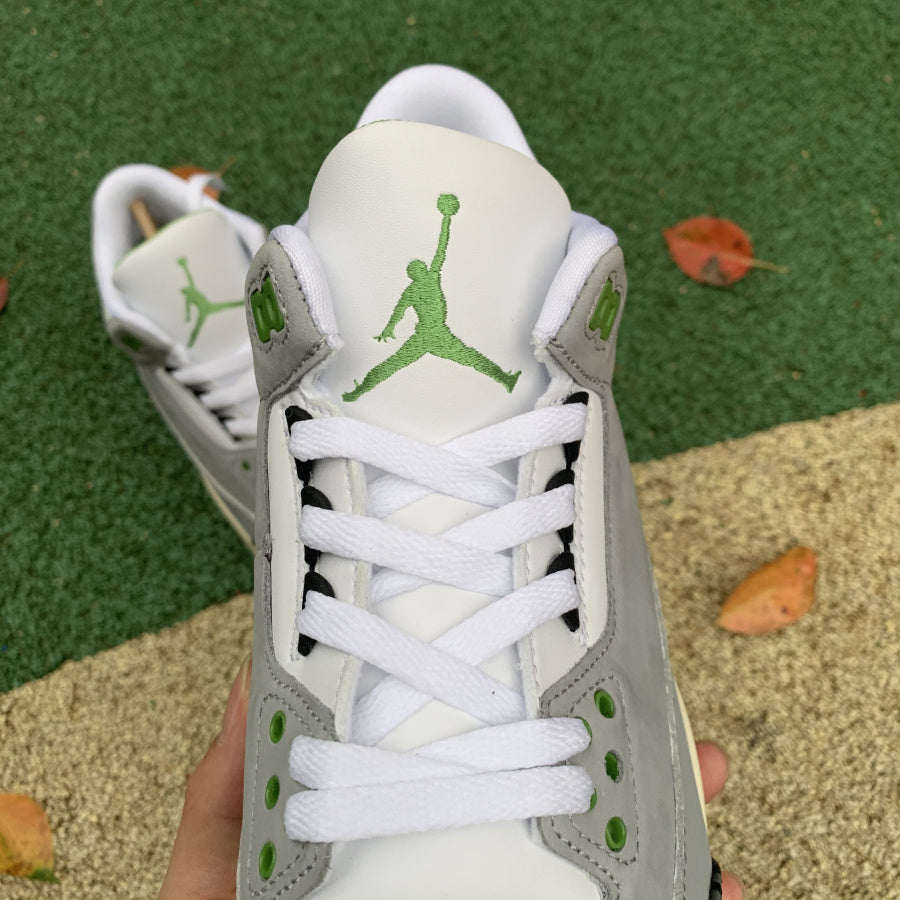 AJ3 Chlorophyll