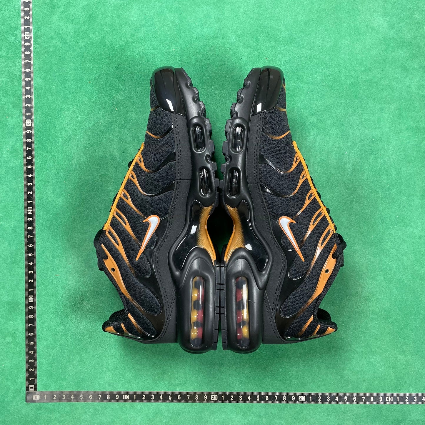 TN Black & University Gold