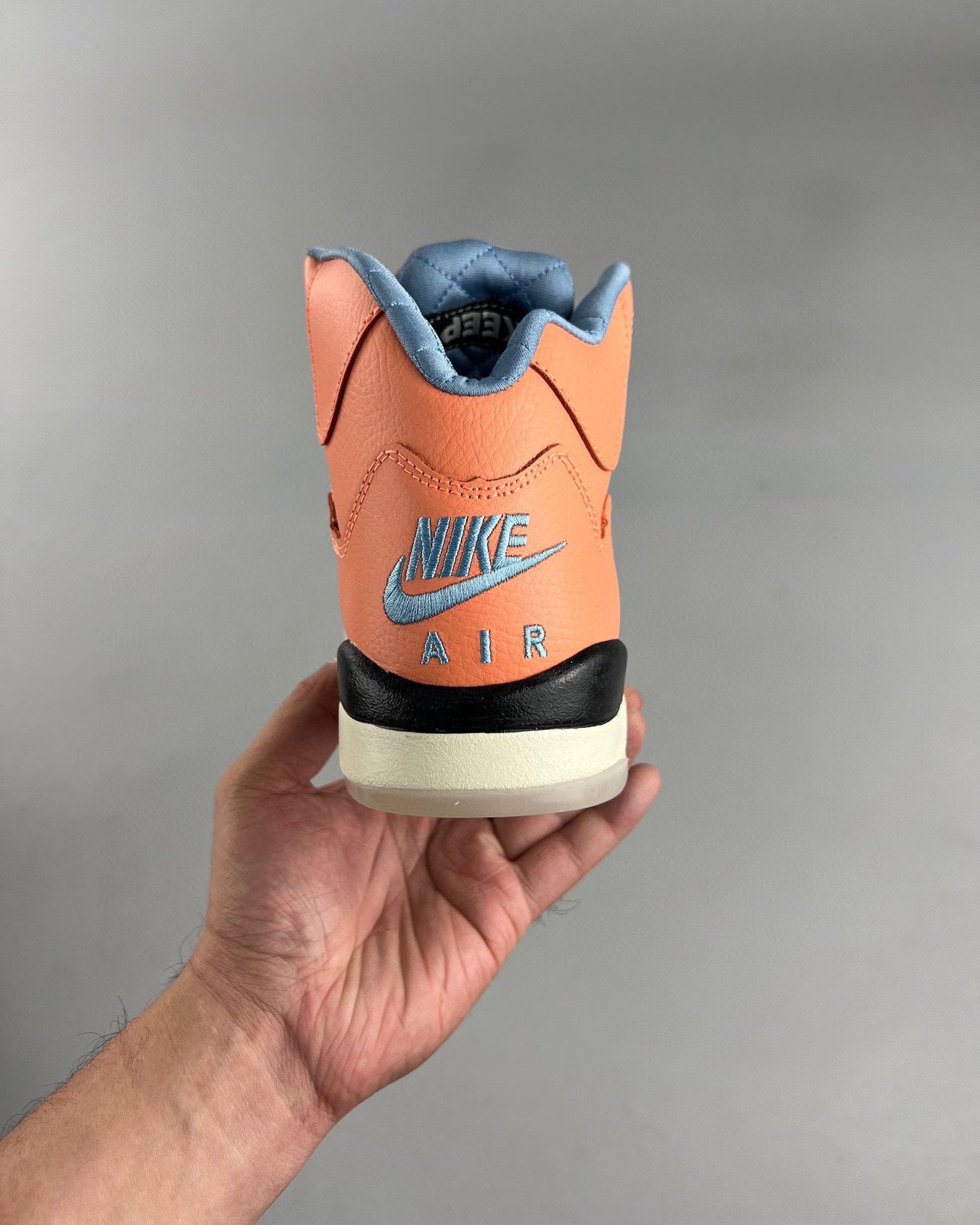 AJ 5 DJ Khaled We The Best