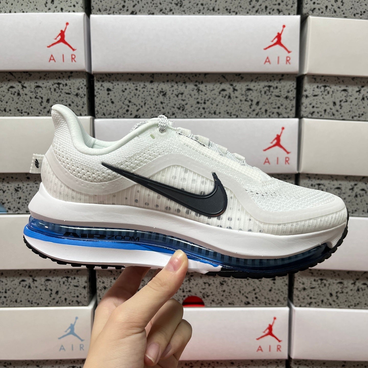 Pegasus Premium White/Blue