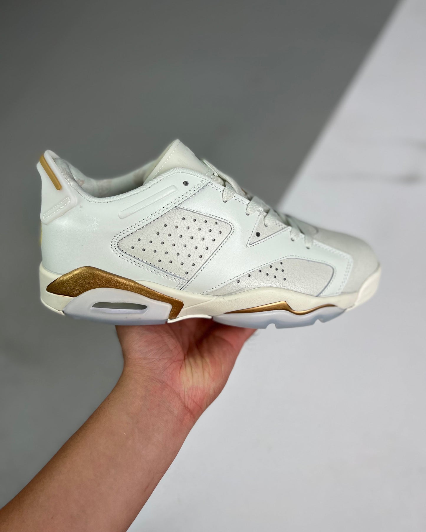 AJ6 Retro Low SE Dongda
