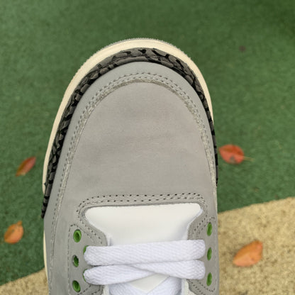 AJ3 Chlorophyll