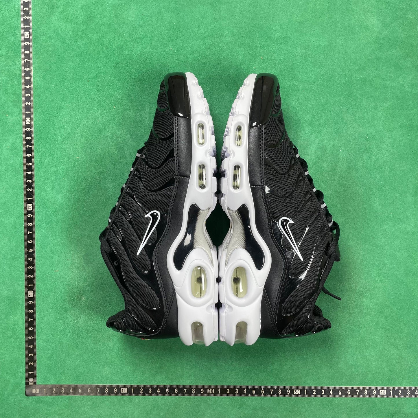 TN Black And White