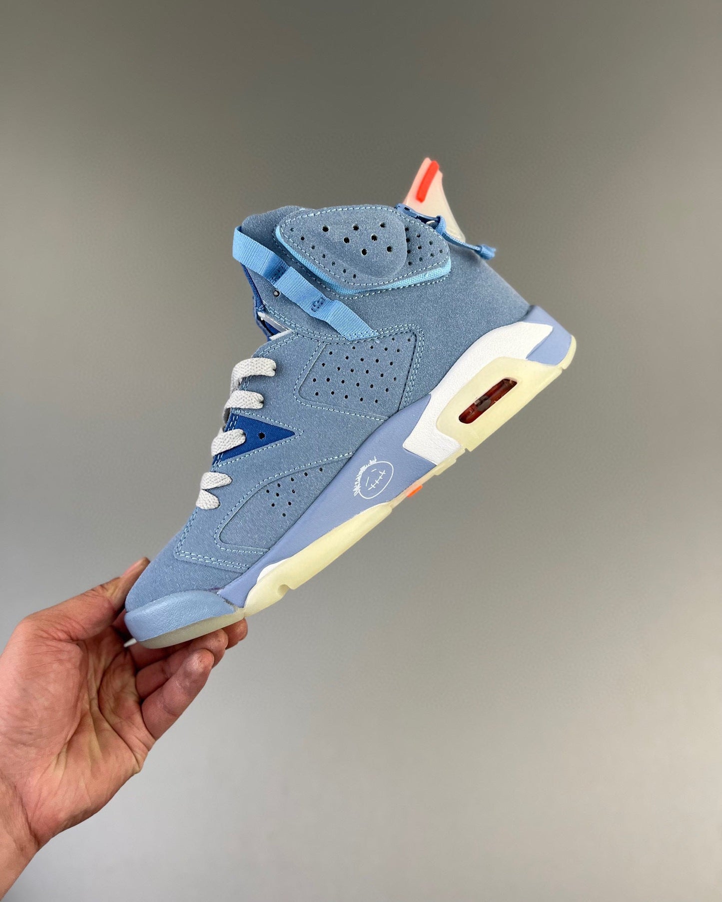 AJ6 Cactus Jack Blue