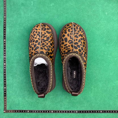 UGG Tazz Caspian