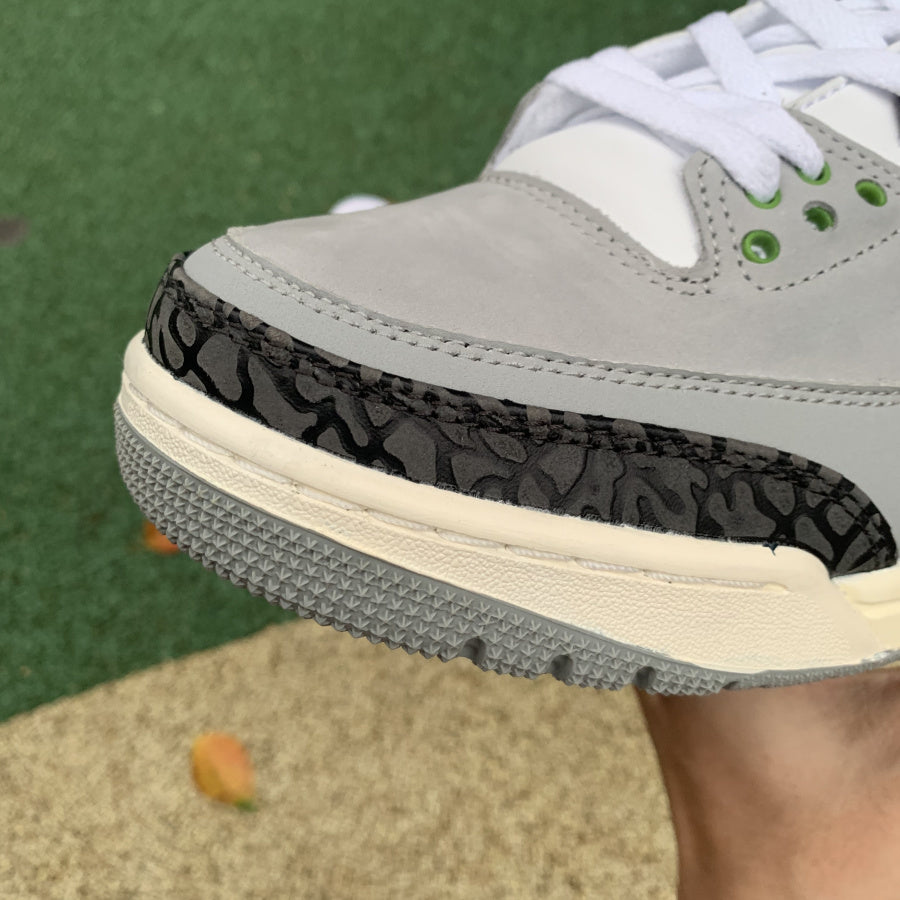 AJ3 Chlorophyll