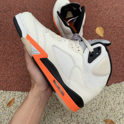 AJ 5 Shattered Backboard