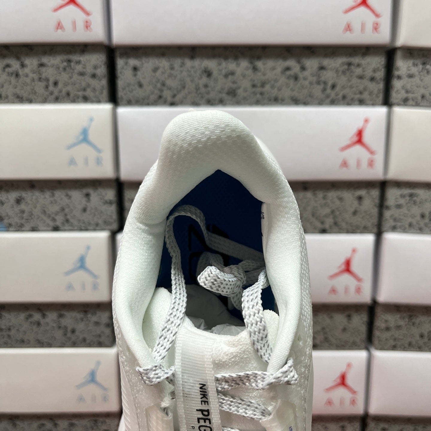 Pegasus Premium White/Blue