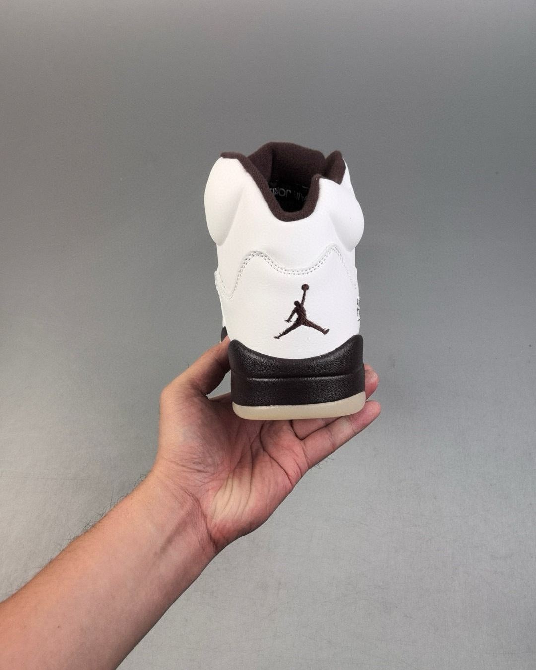 AJ 5 Retro WMNS Earth