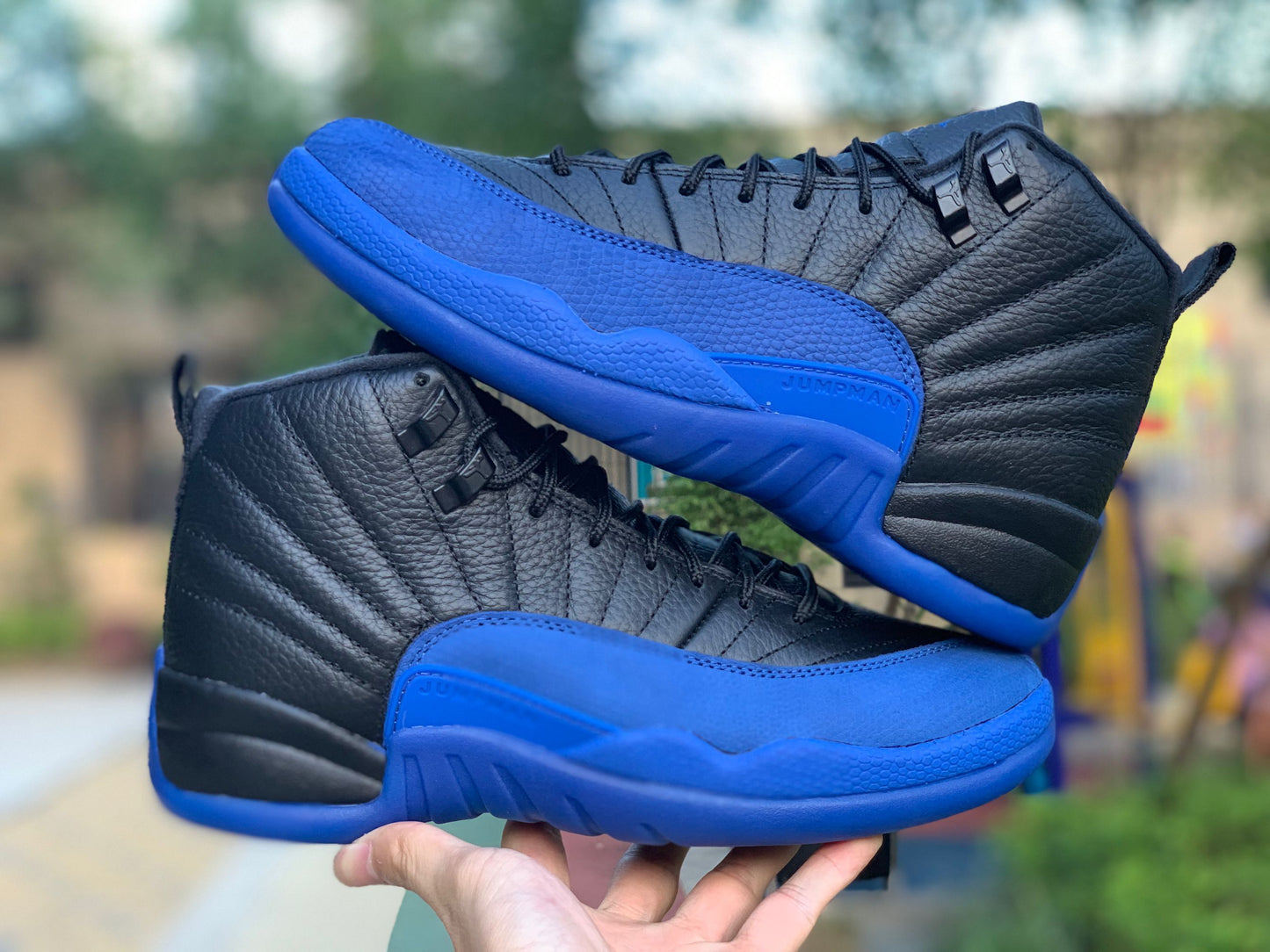 12 Royal
