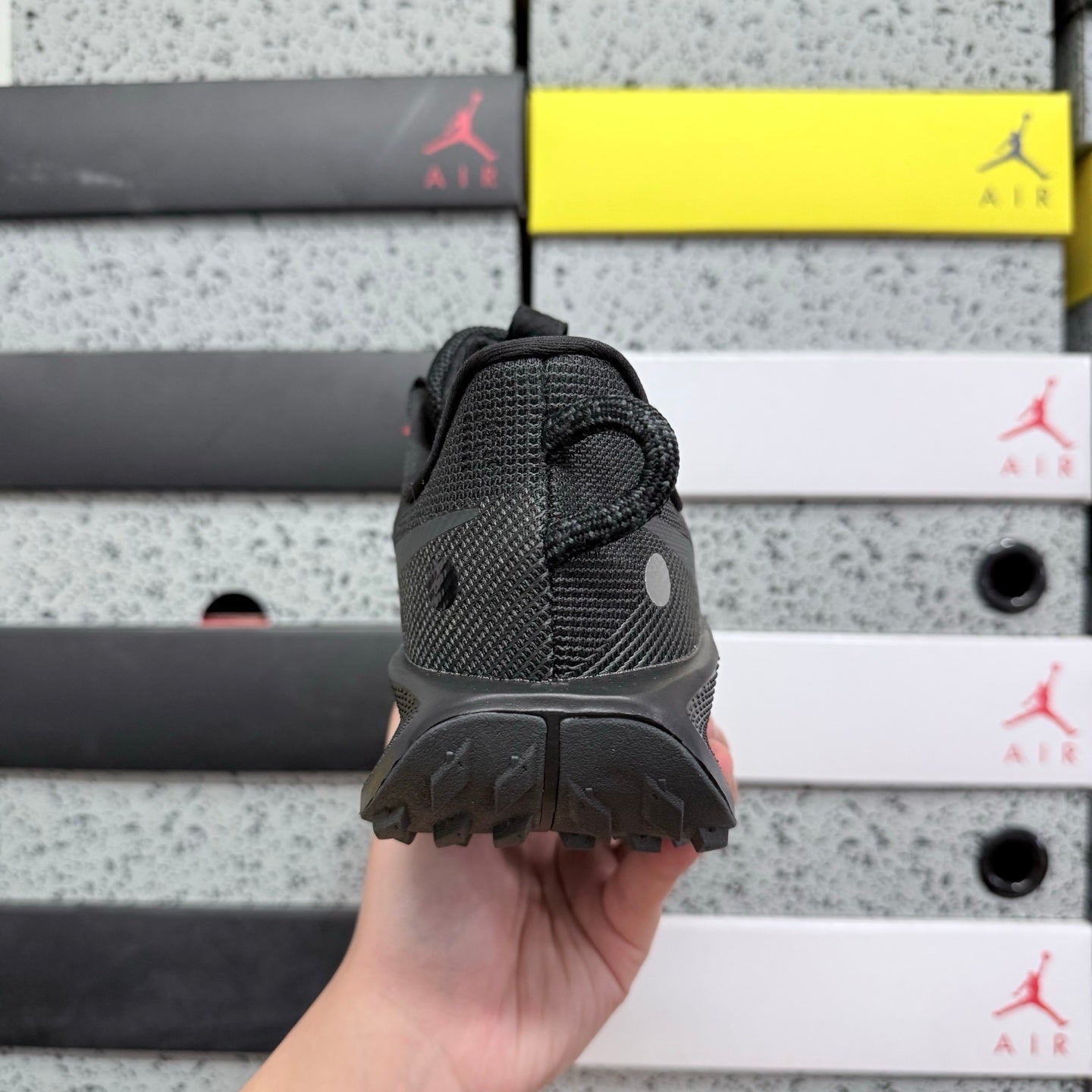Pegasus Trail 5 Black